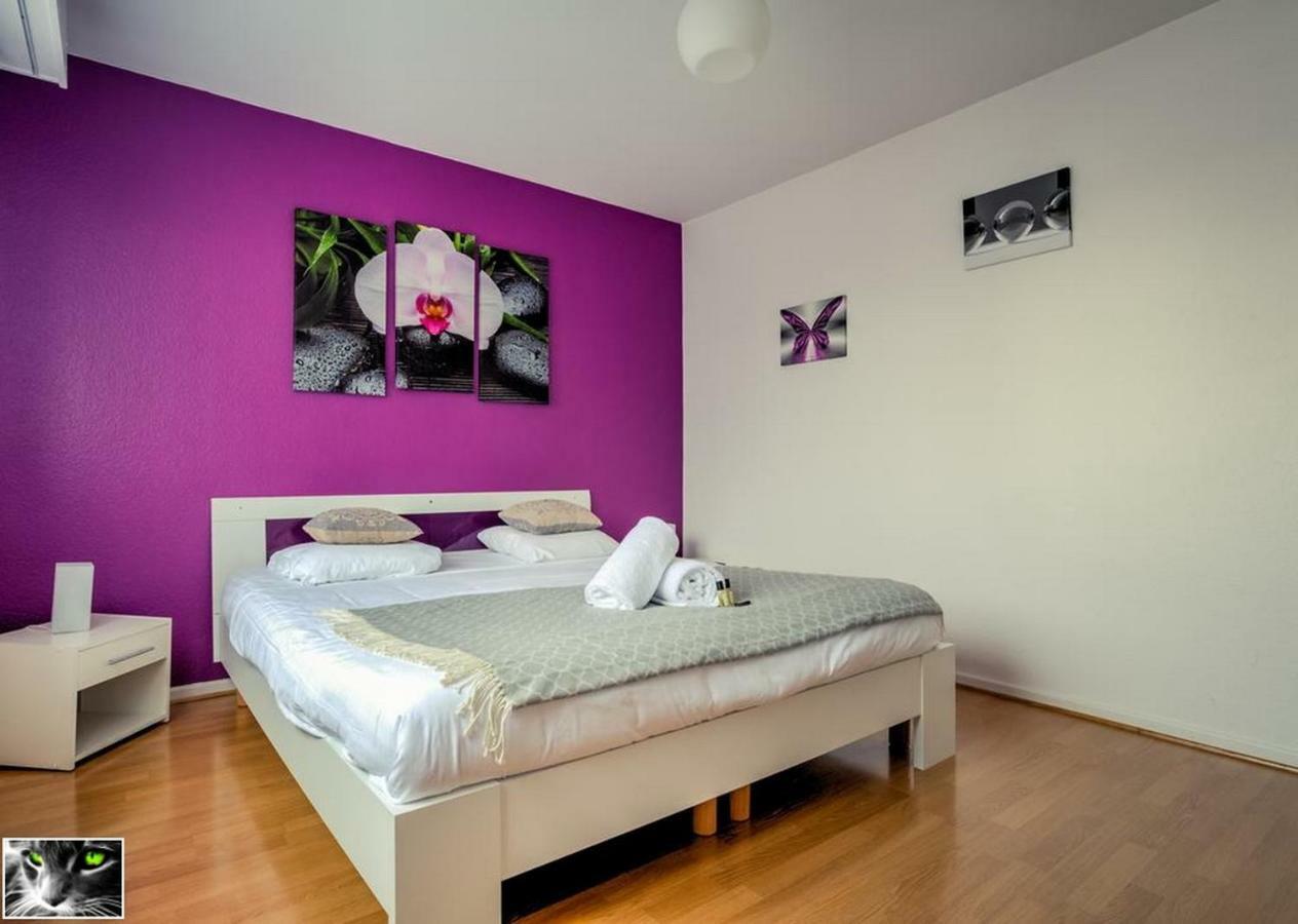 Appartement Spacieux Schiltigheim Luaran gambar