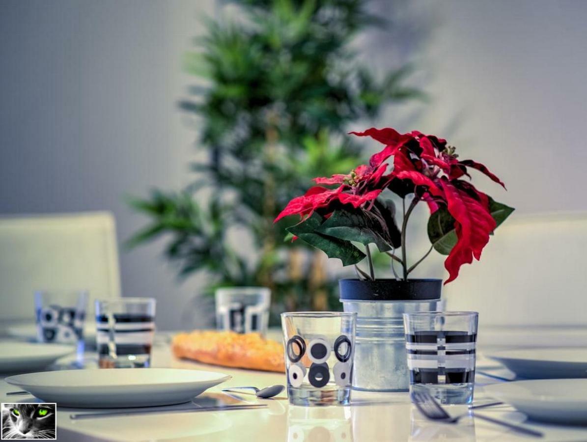 Appartement Spacieux Schiltigheim Luaran gambar