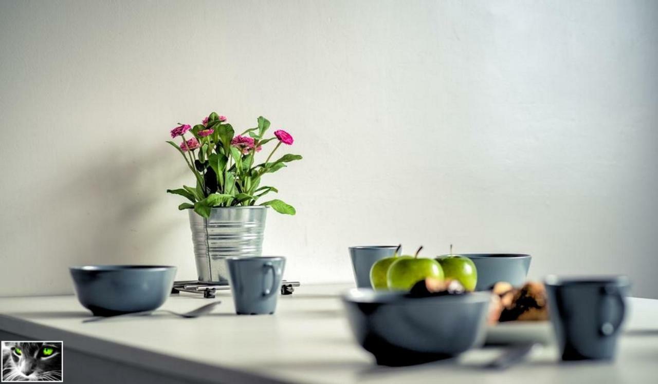 Appartement Spacieux Schiltigheim Luaran gambar