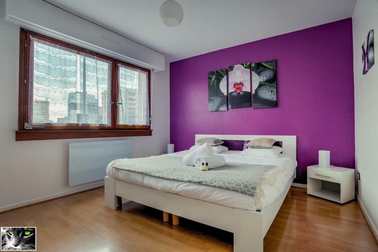 Appartement Spacieux Schiltigheim Luaran gambar